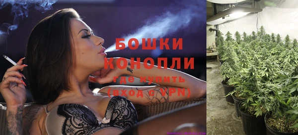 ECSTASY Абаза