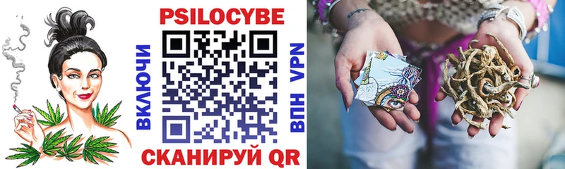Псилоцибиновые грибы GOLDEN TEACHER  blacksprut ссылка  Челябинск 